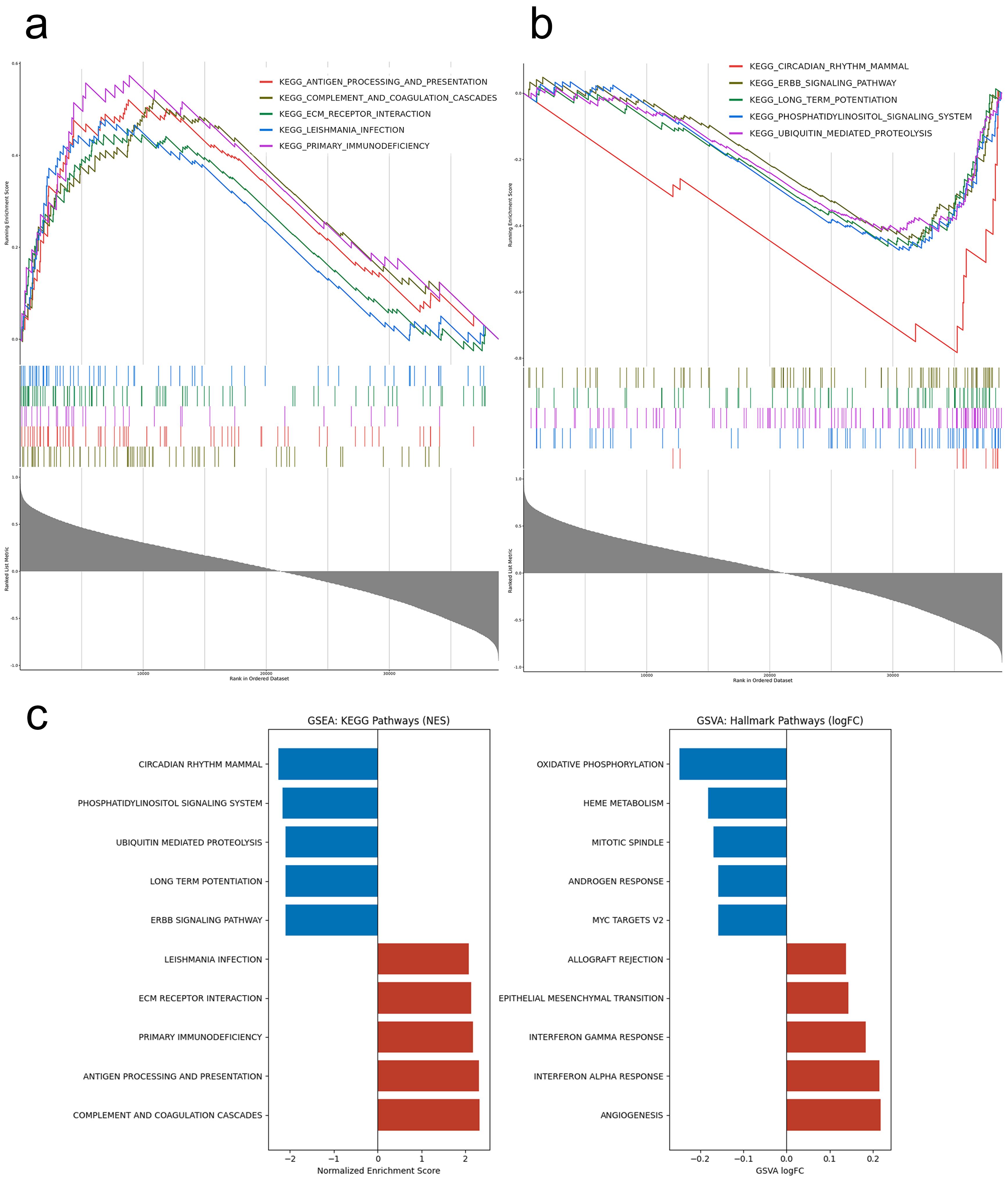 Group-level functional enrichment analysis reveals distinct immunometabolic pathway alterations in TBI.