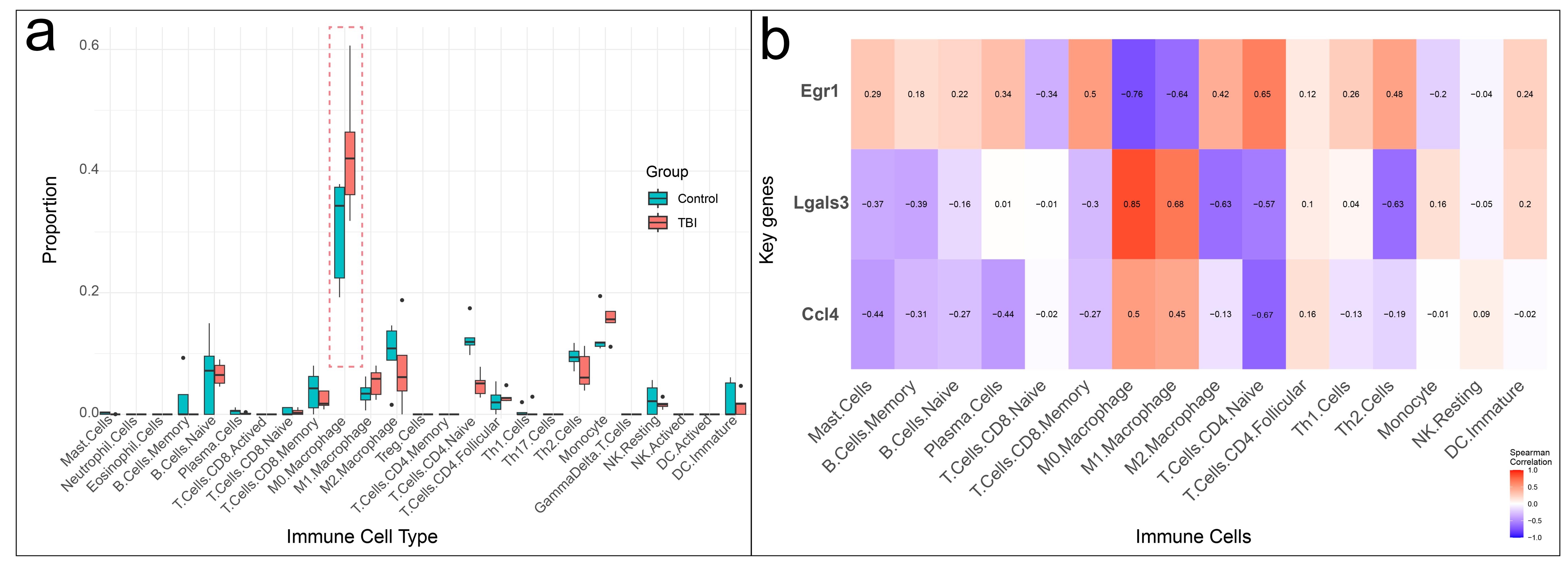 Immune-cell infiltration analysis and descriptive correlations with key genes.