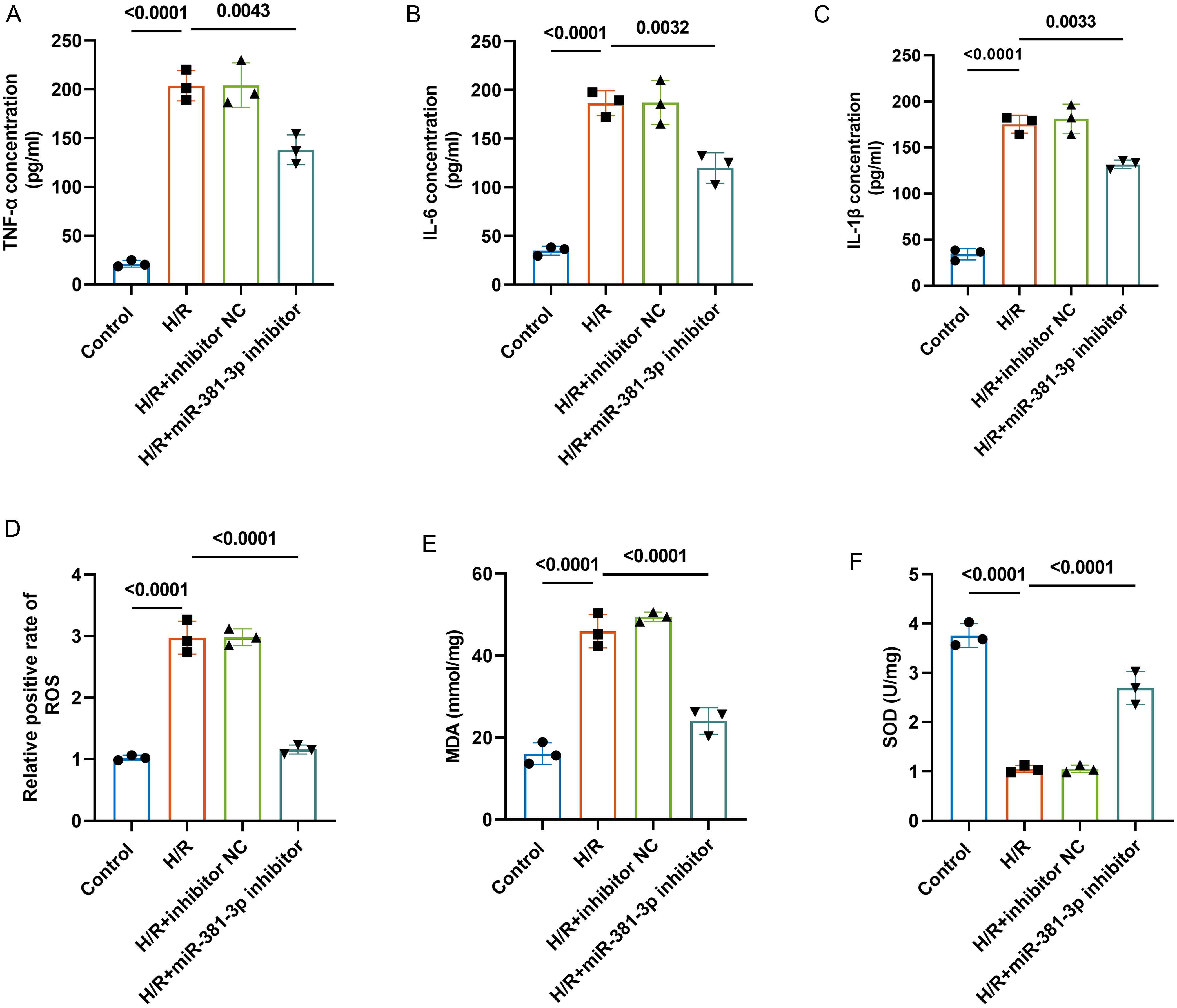 Effects of the miR-381-3p inhibitor on H/R-induced inflammation and oxidative stress.
