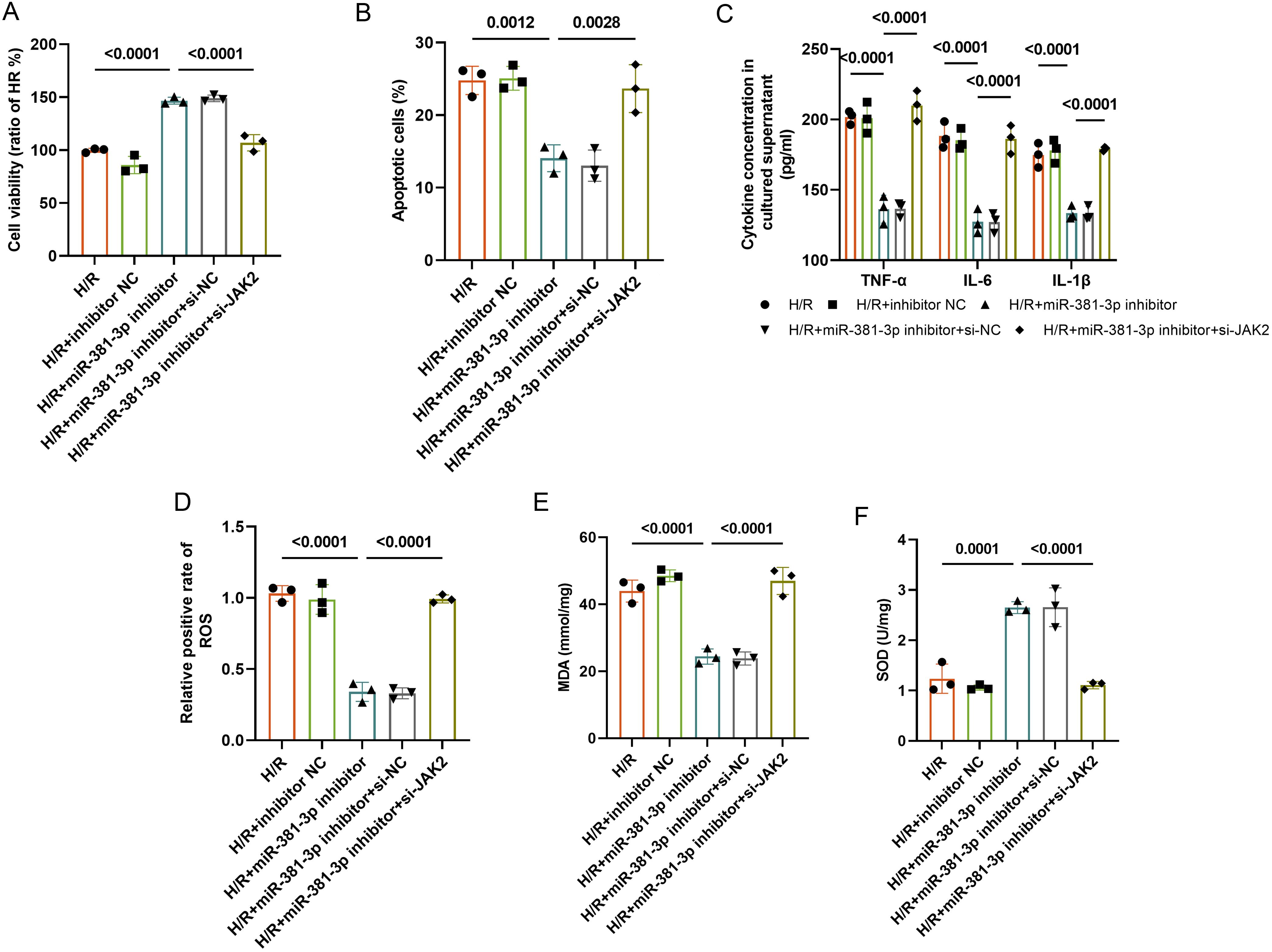 The effect of JAK2-mediated miR-381-3p suppression on hydrogen peroxide–induced damage.