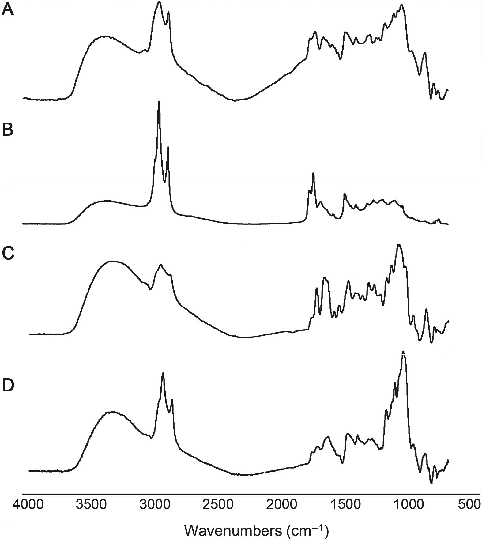 Fourier transform infrared spectra of <italic>Cola nitida</italic> seed.