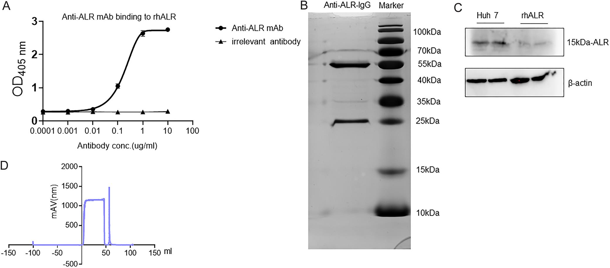 Characterization of the ALR-specific mAb.
