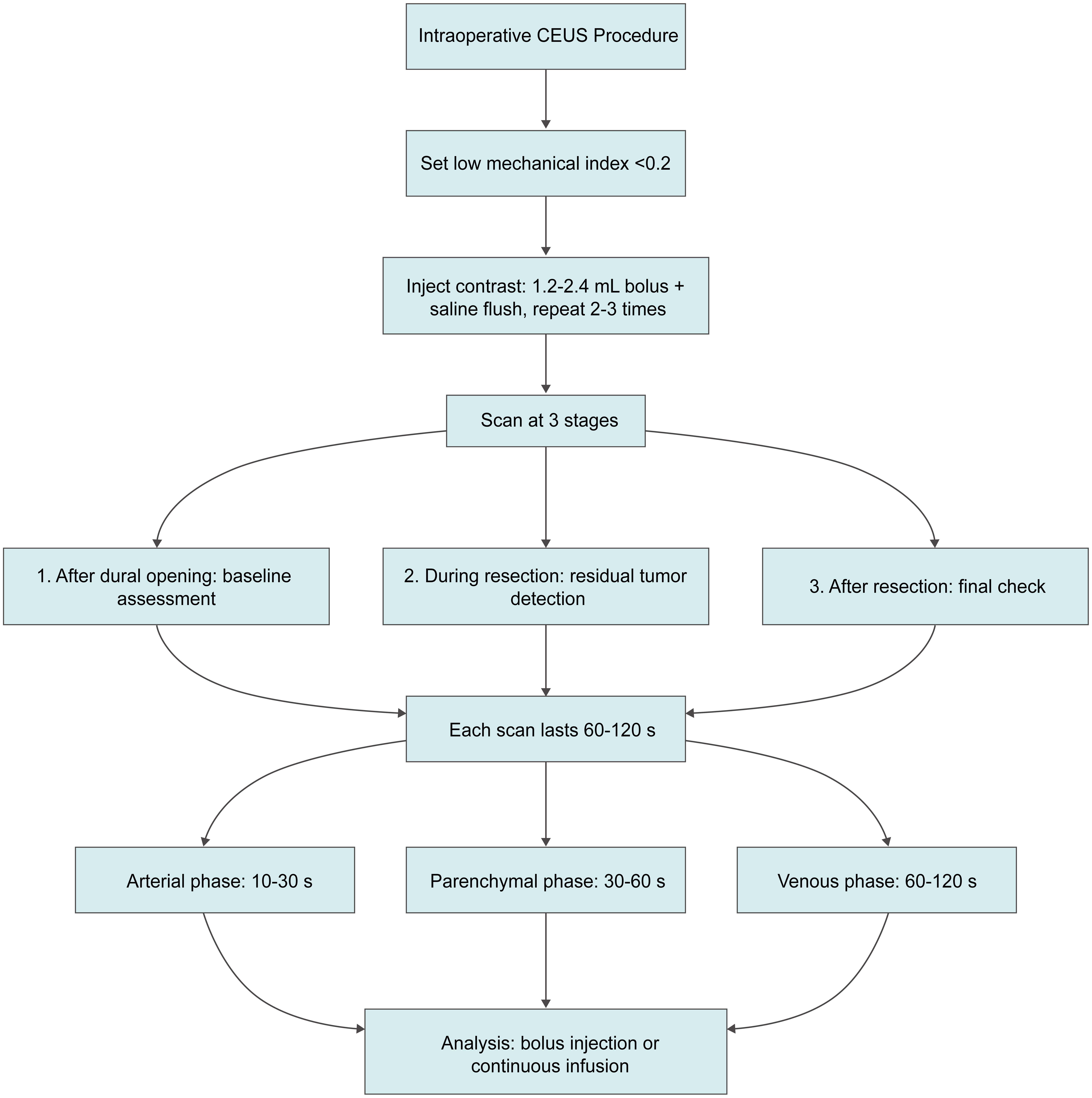 Intraoperative CEUS protocol for brain tumor surgery.