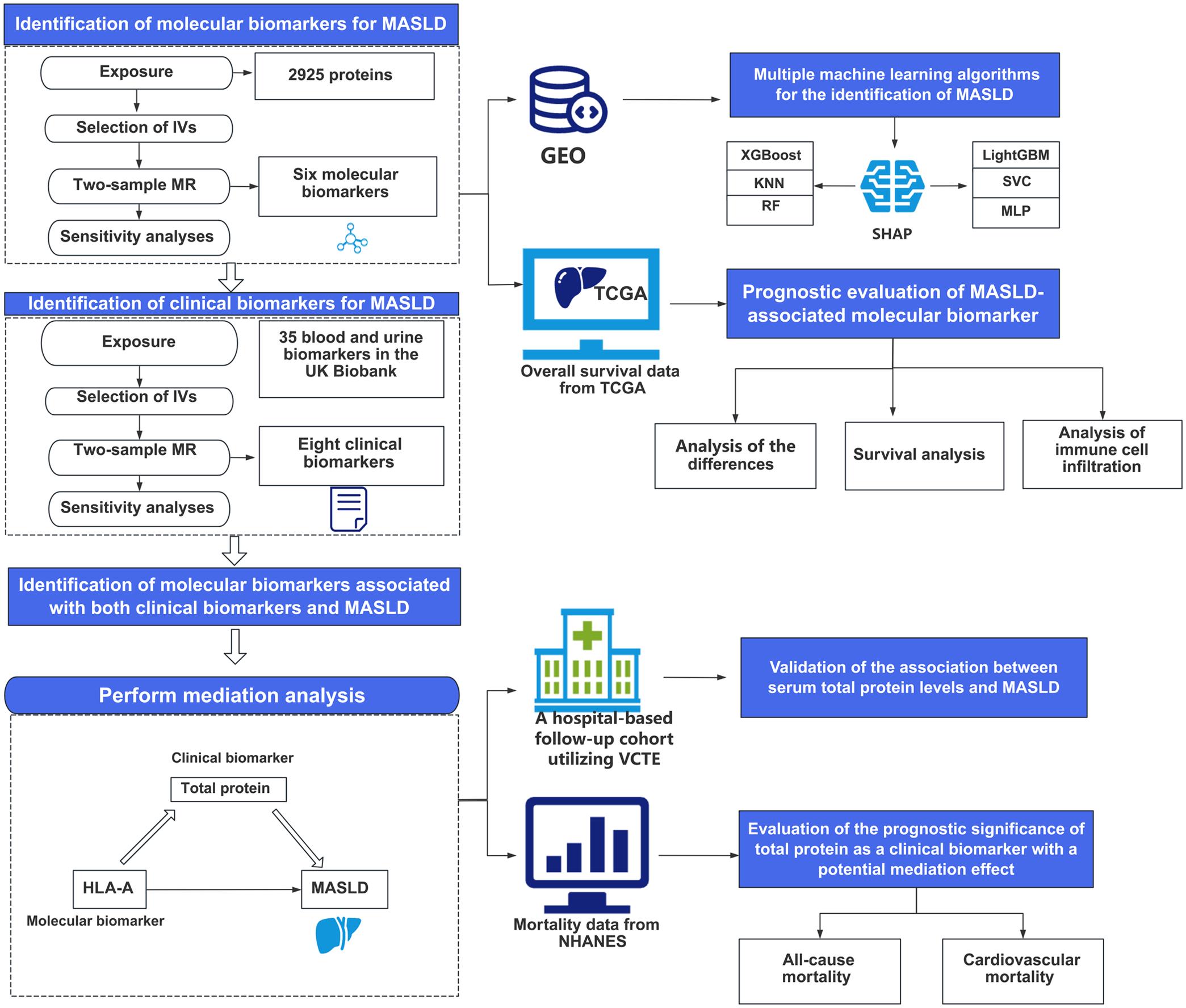 Flowchart of the study.