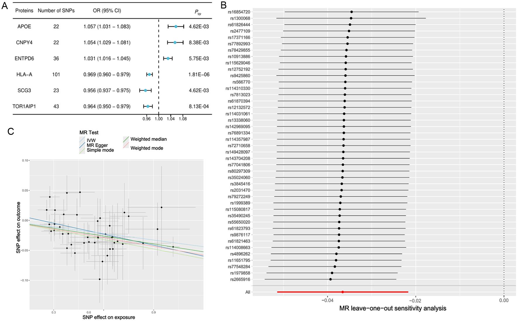 Causal molecular biomarkers related to MASLD.