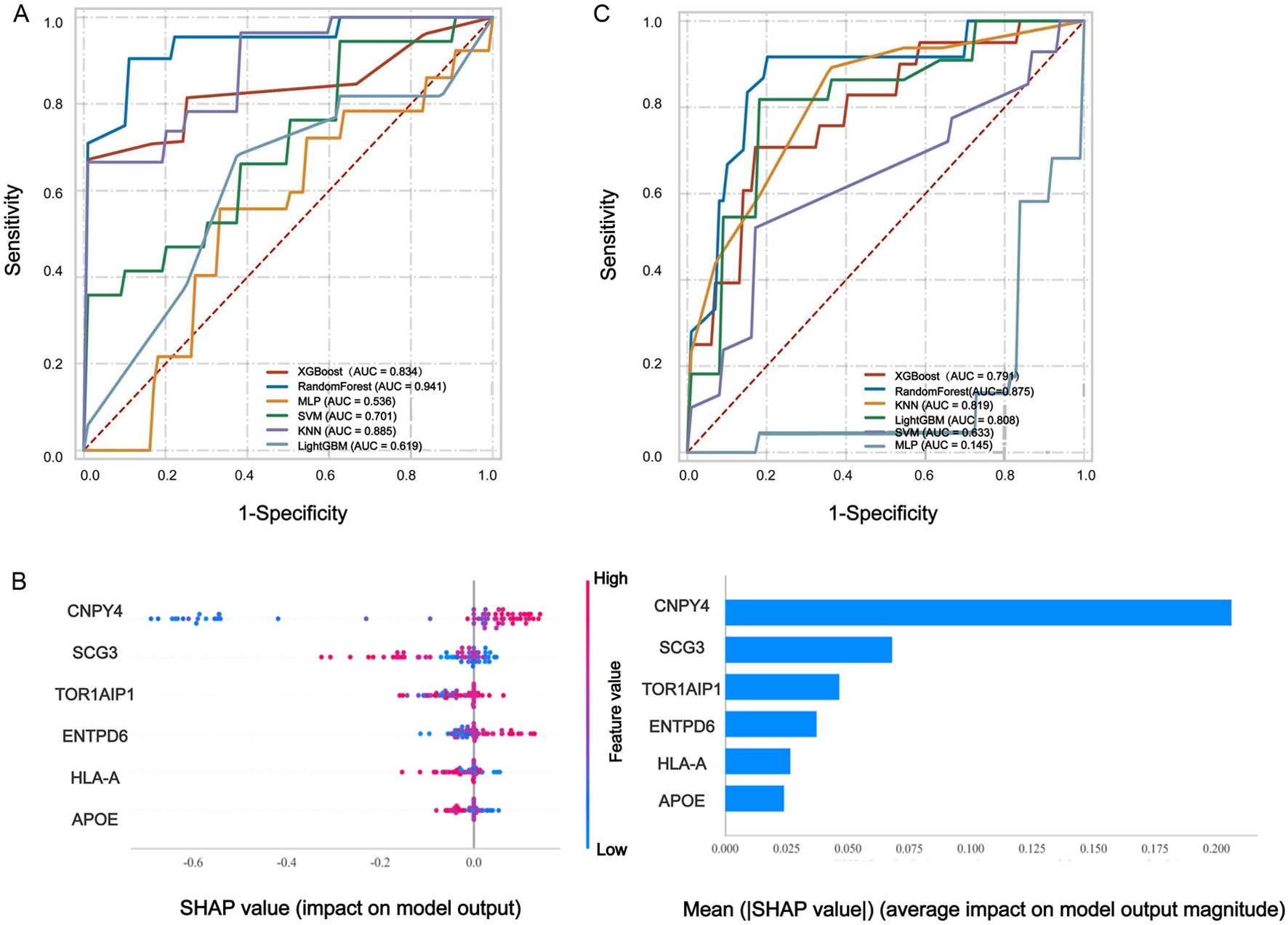 Performance evaluation and feature importance interpretation of machine learning models.