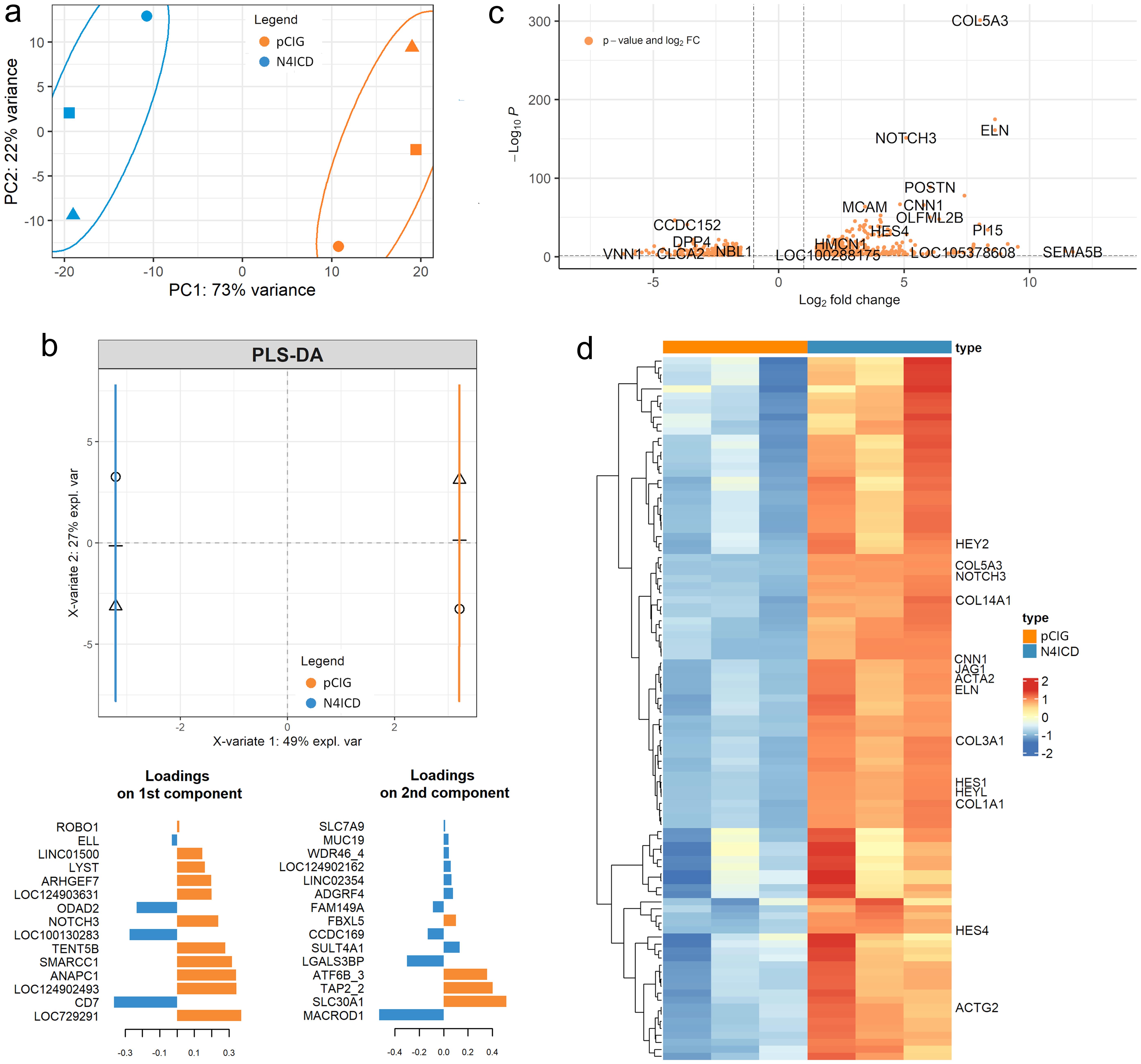 Transcriptomic analysis of lung fibroblasts with the activated intracellular domain of the NOTCH4 receptor (N4ICD) in comparison with the control (pCIG).