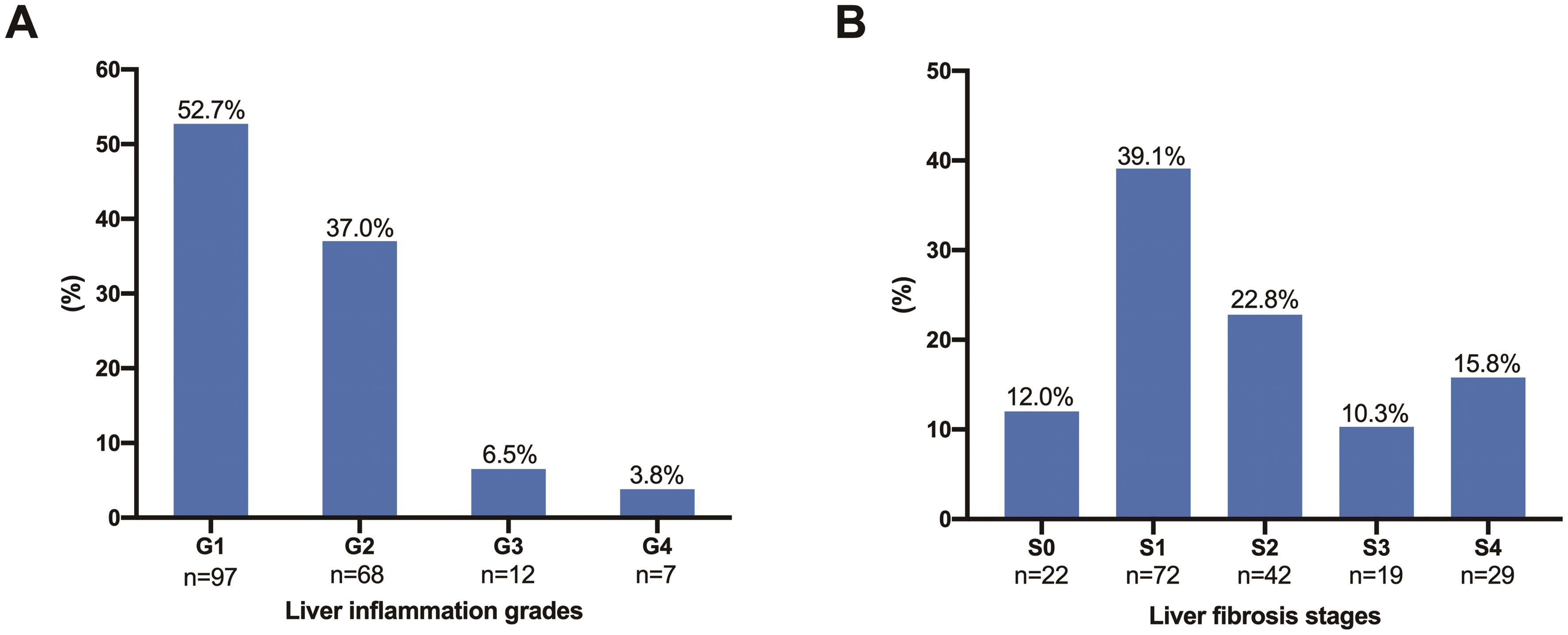 Distribution of liver inflammation grades and fibrosis stages among the HBeAg-negative CHB patients with detectable HBV DNA and normal ALT levels.
