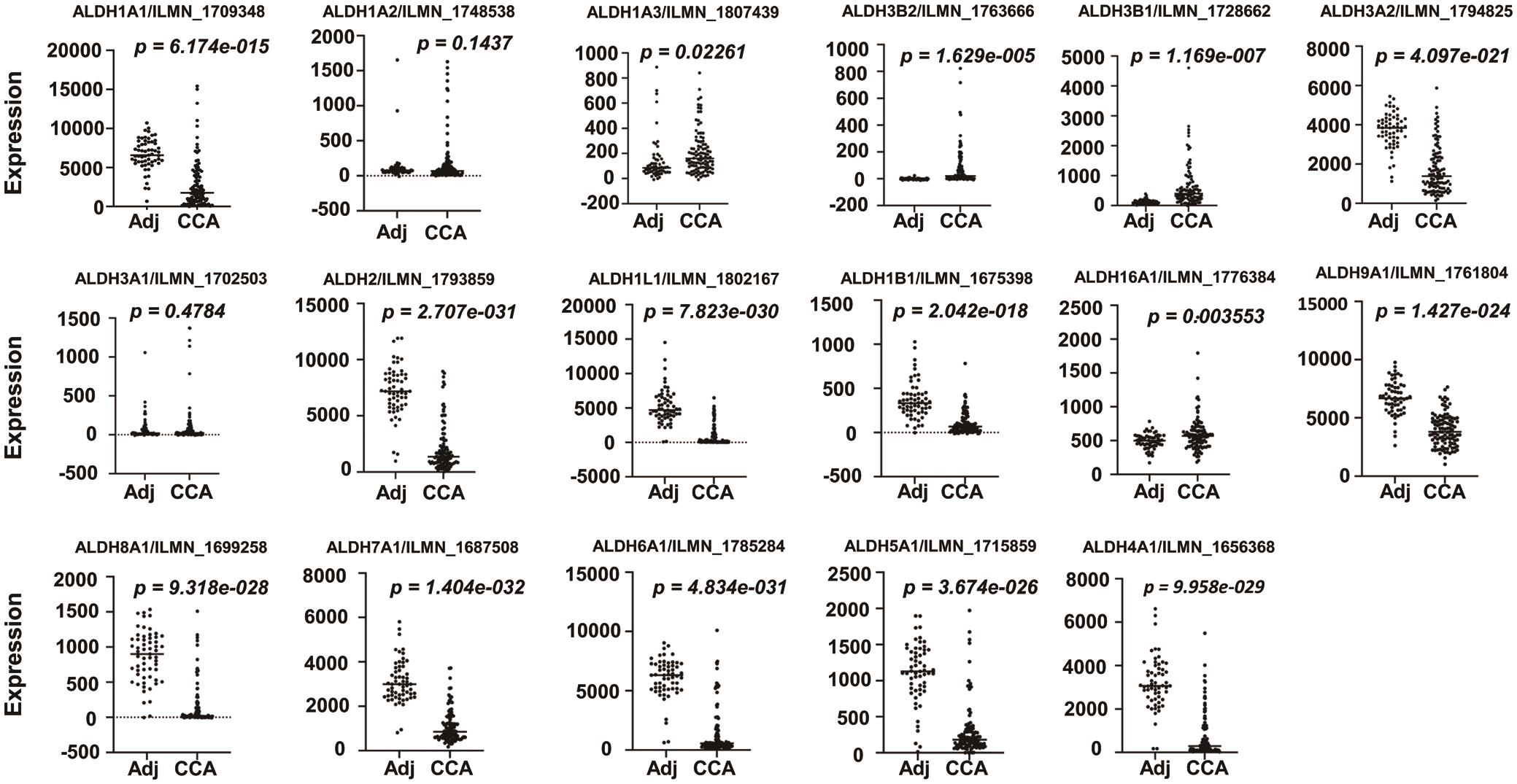 Altered mRNA levels of <italic>ALDHs</italic> in human cholangiocarcinoma (CCA).