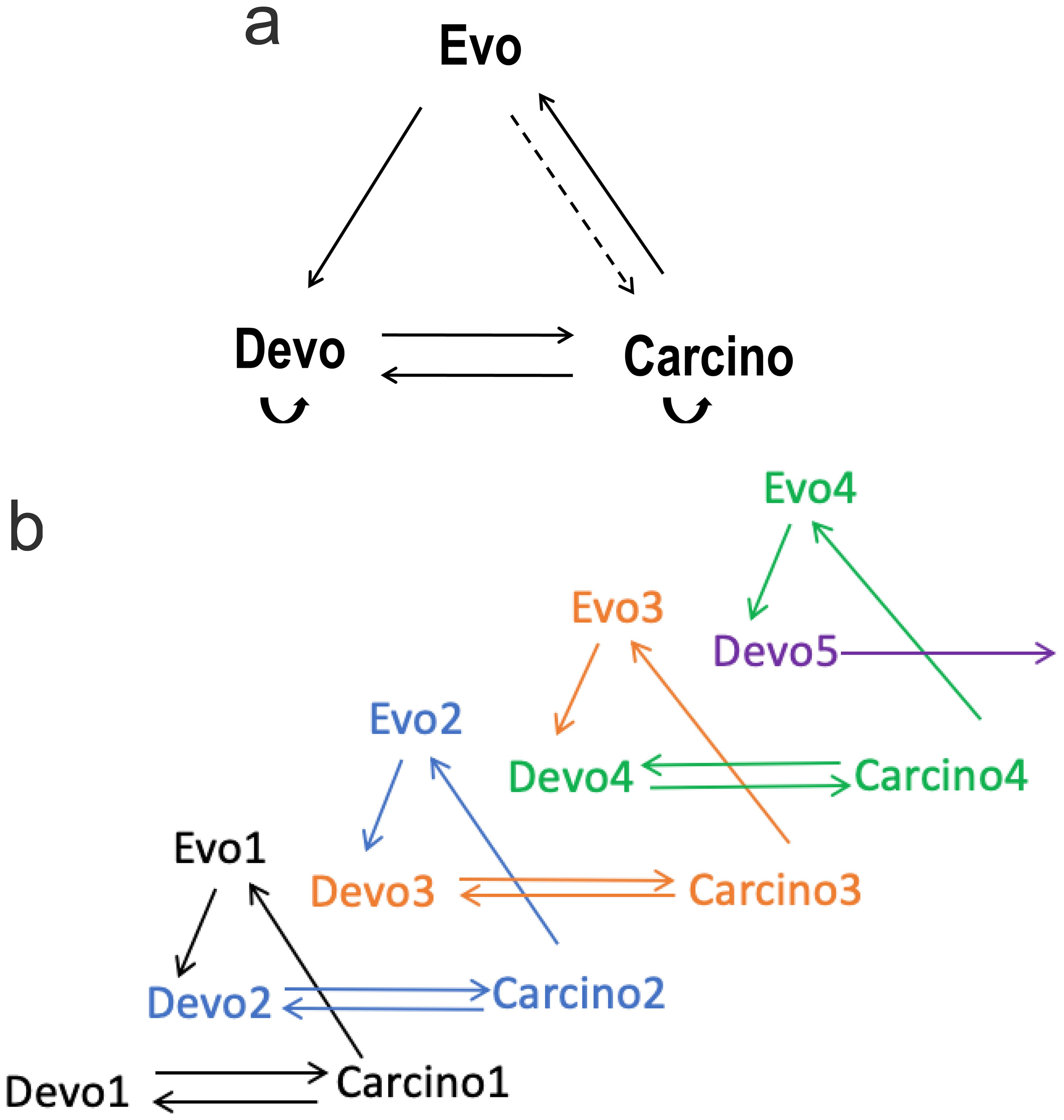 <italic>Carcino-evo-devo</italic> diagrams.