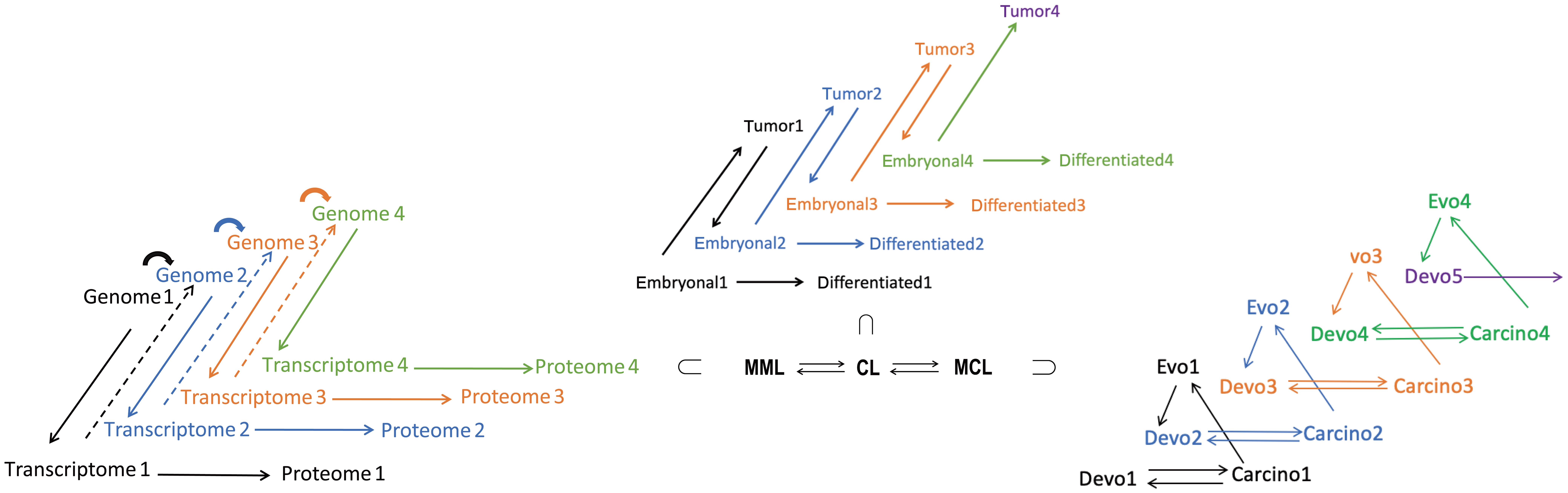 The complete unfolded formula for the evolution of gene expression, the origin of new cell types, <italic>evo-devo</italic>, and the multilevel complexity growth in progressive evolution.