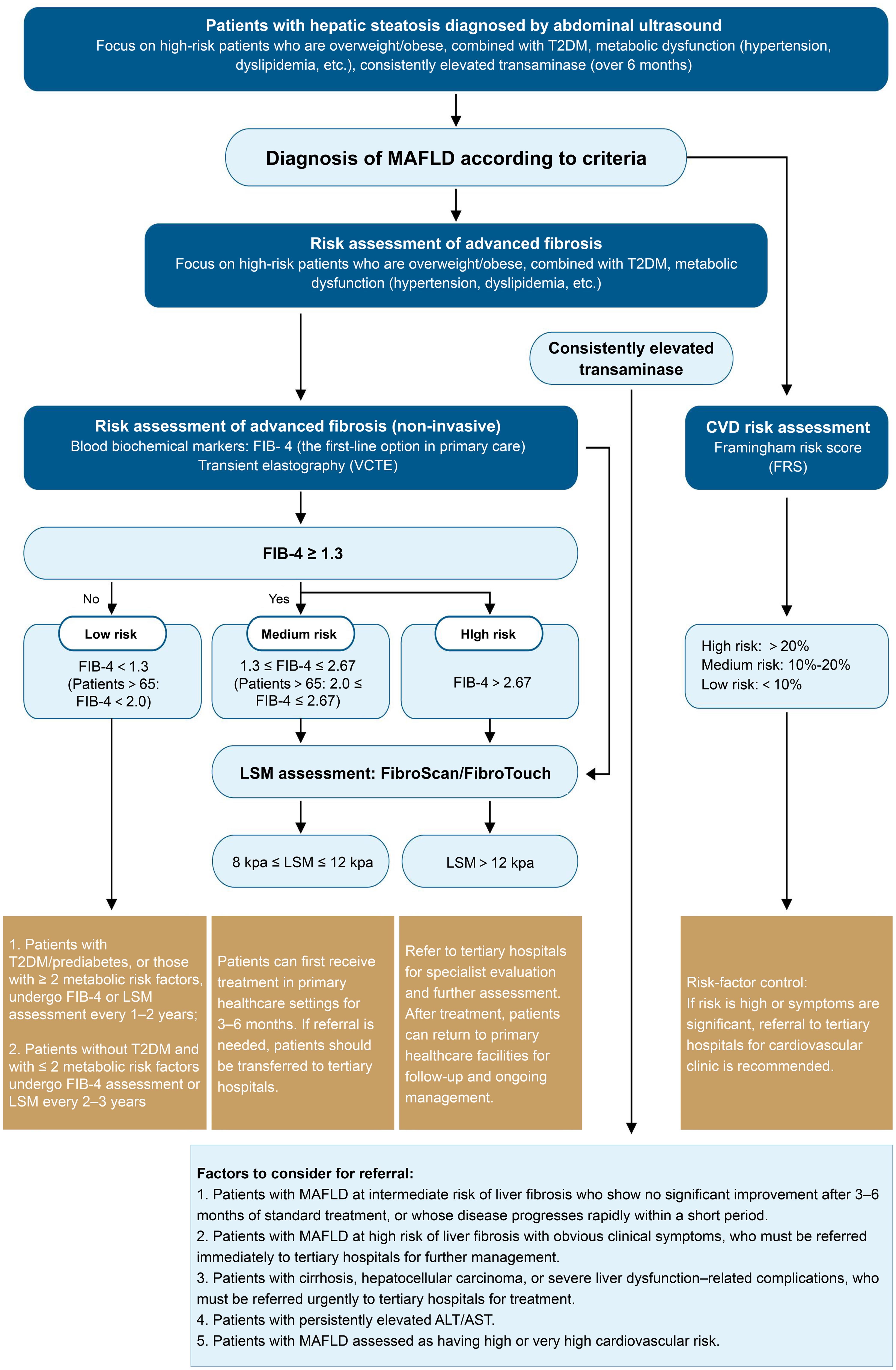 Risk assessment and referral of patients with MAFLD.