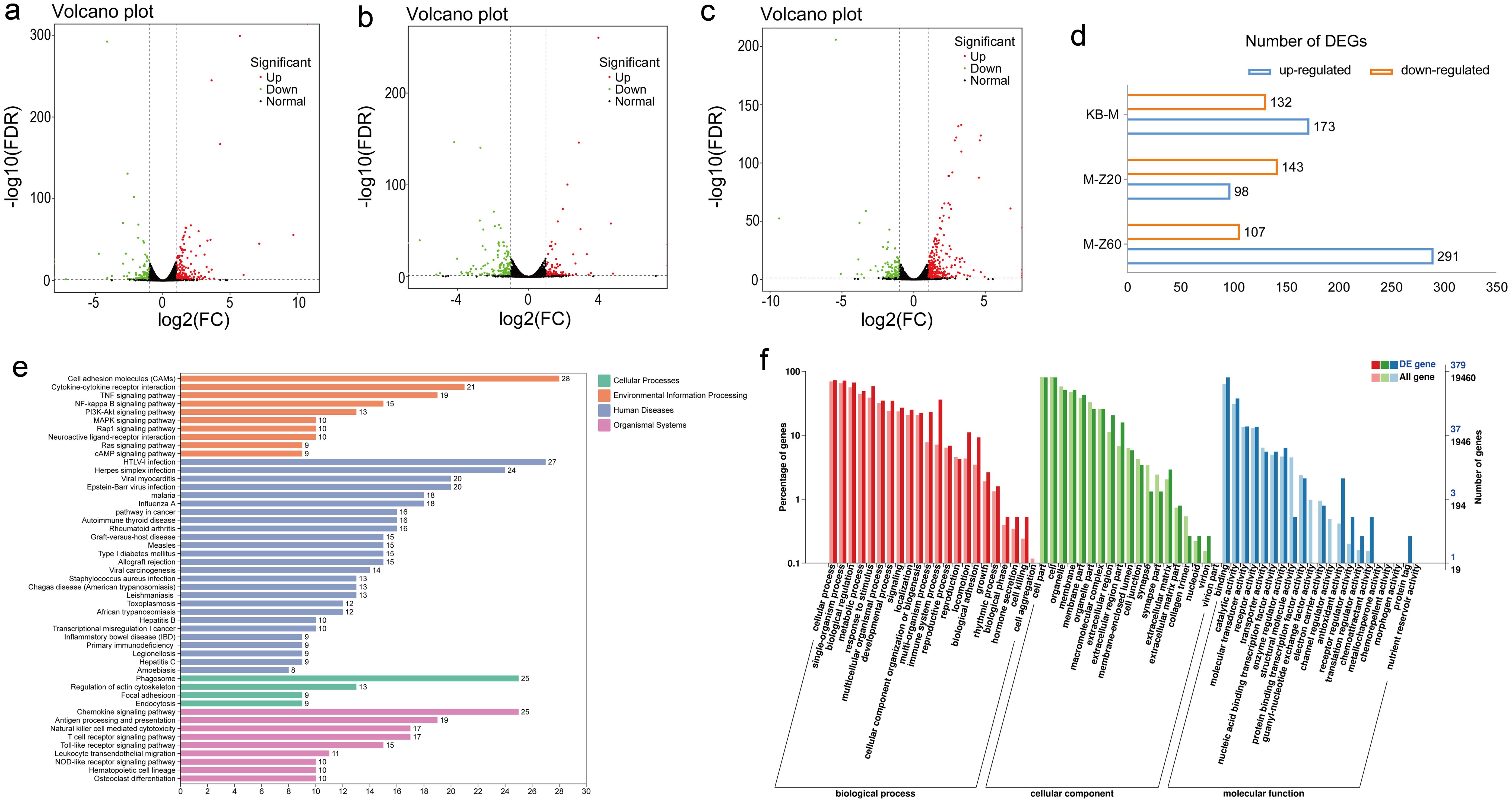 Transcriptomic assay and bioinformatics analysis of rat heart by FWD.