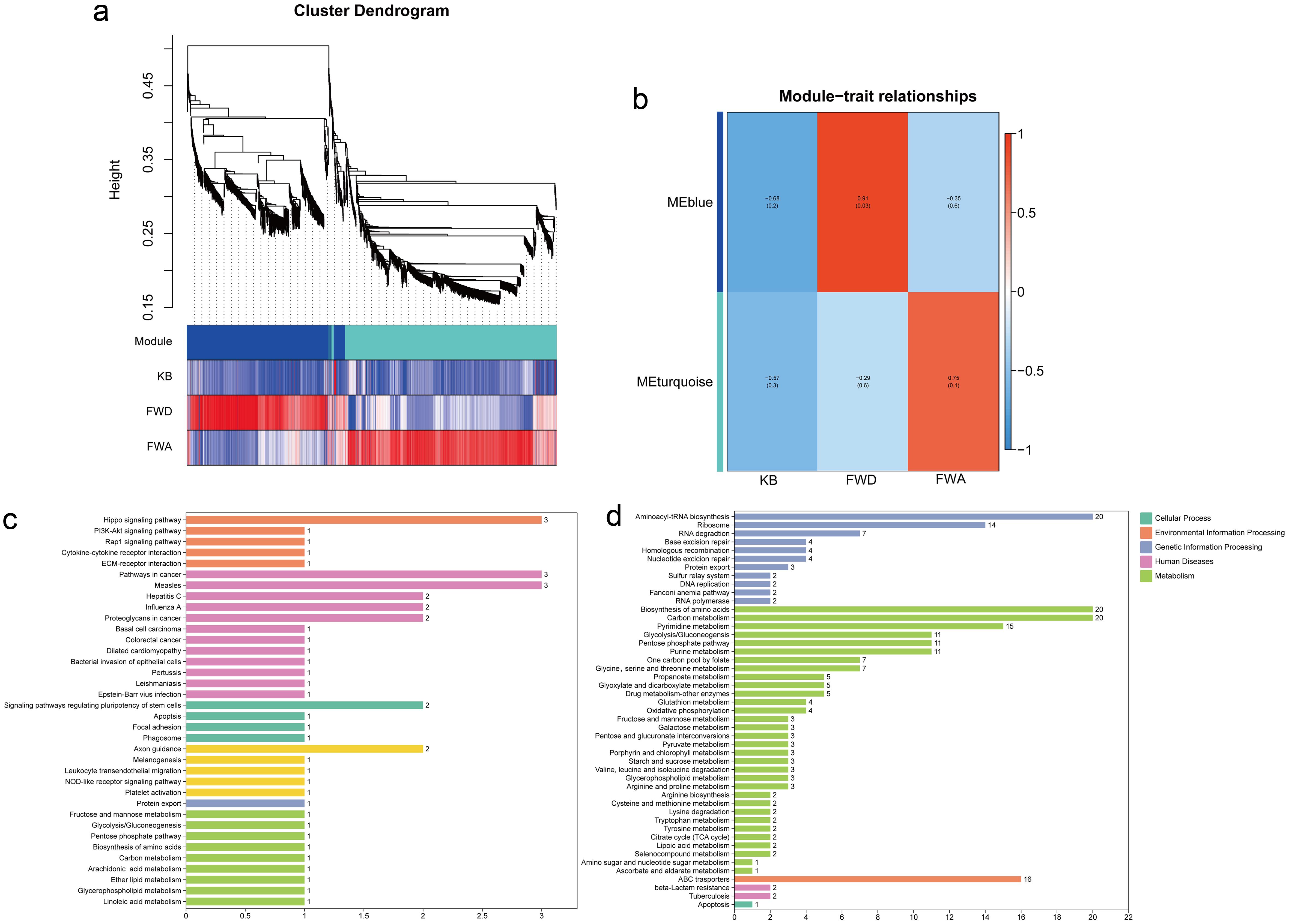 The co-expression modules analysis.