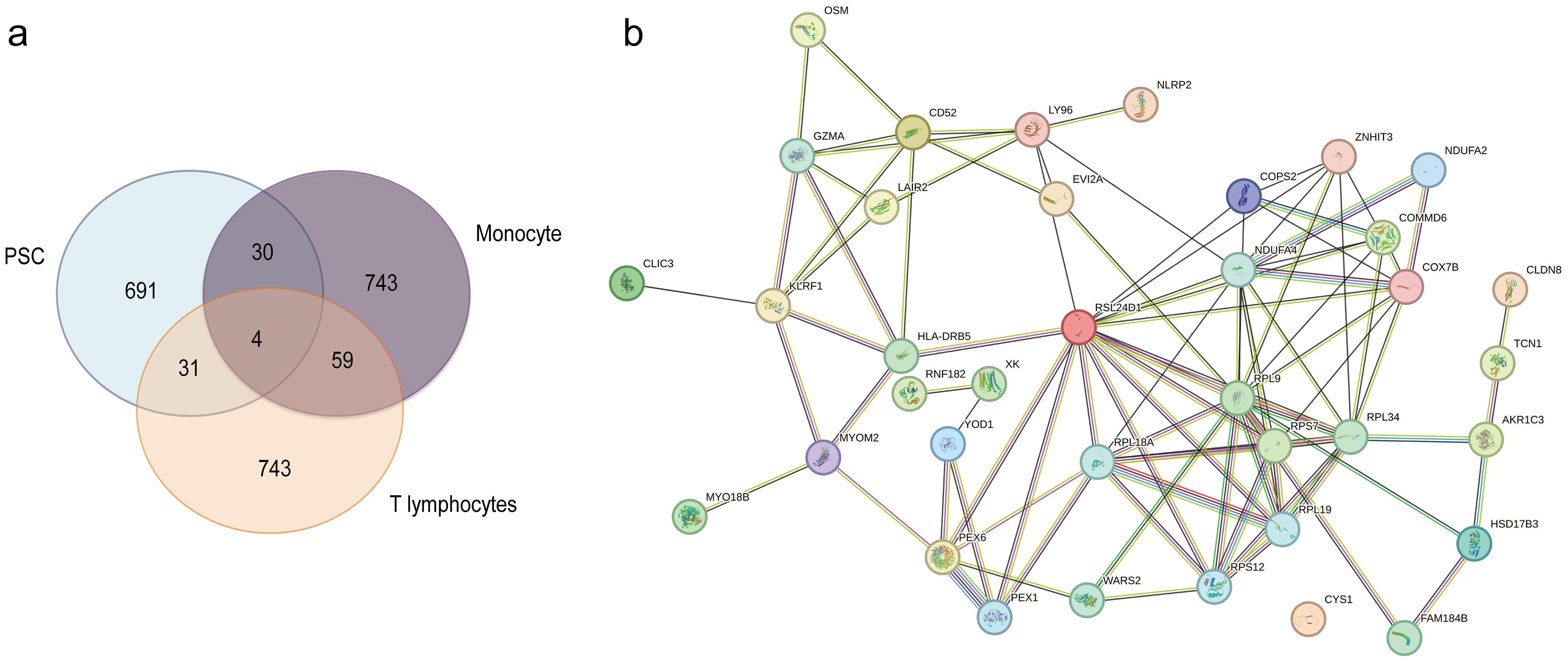 Interpretation of commonly expressed genes from all datasets.