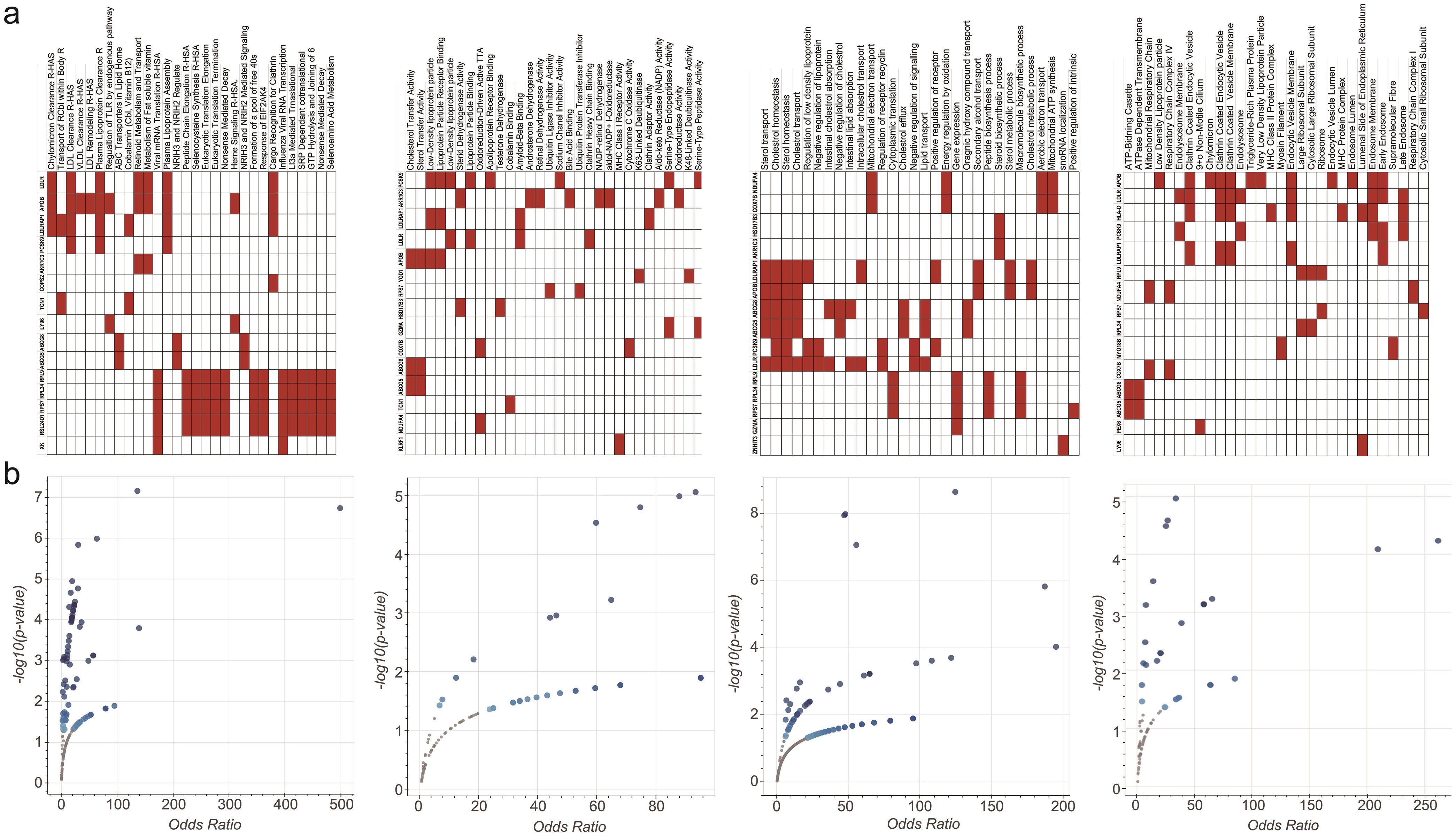 Gene Ontology (GO) annotation of the genes.