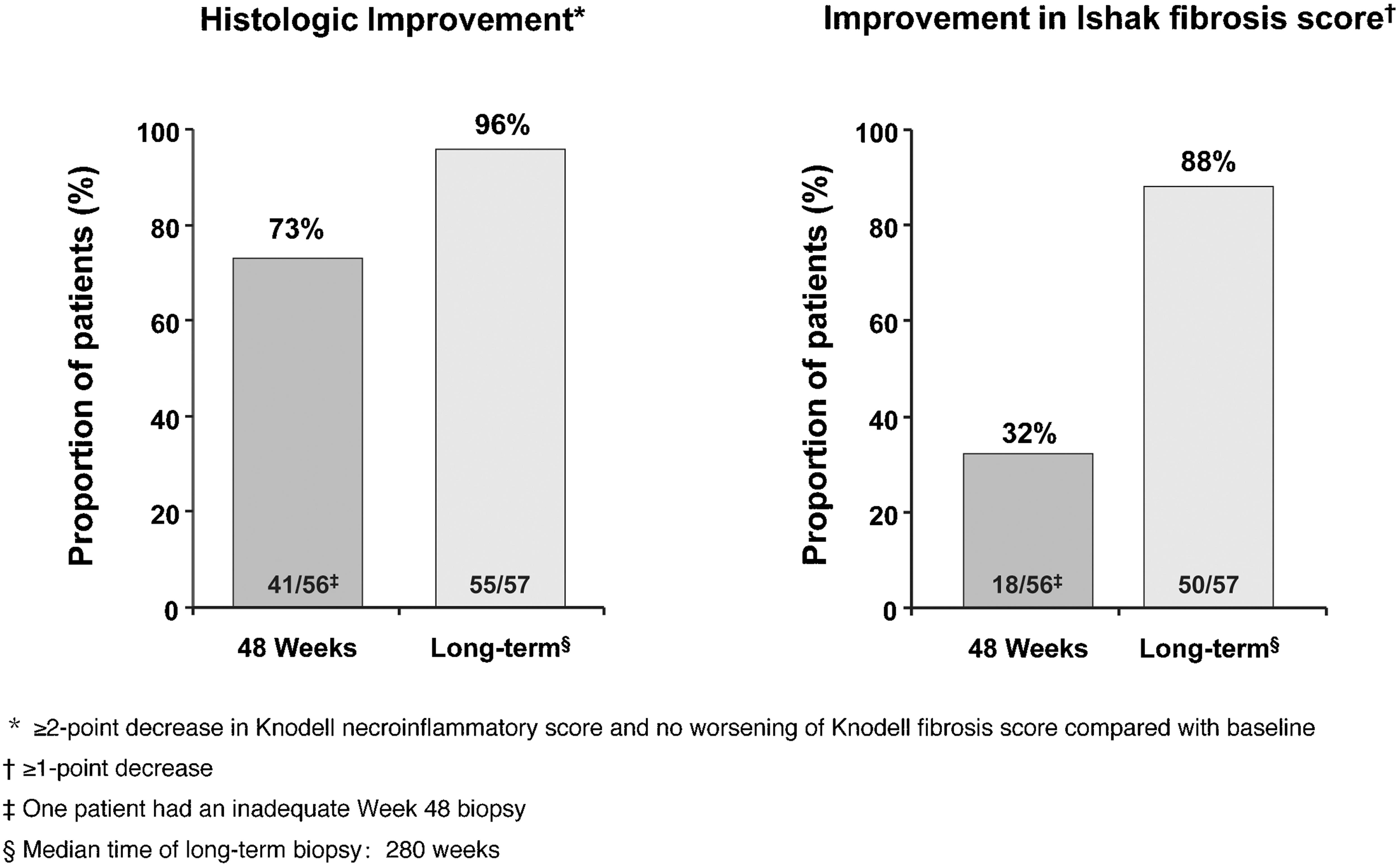 Improvement in histology and in Ishak fibrosis scores with long-term entecavir treatment