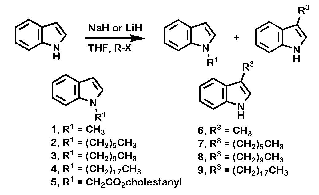 Synthesis of <italic>N</italic>(1)- or 3-substituted indoles by alkylation of the ambident anion.