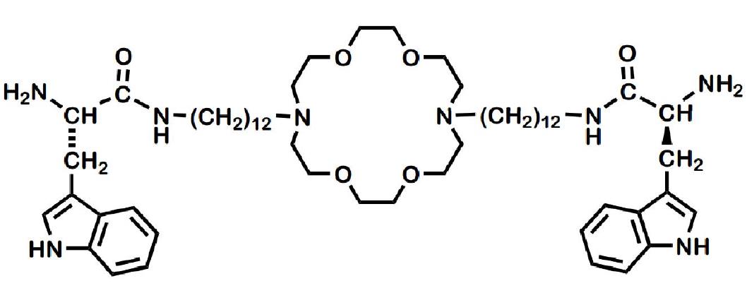 A hydraphile-inspired amphiphile having tryptophan termini.