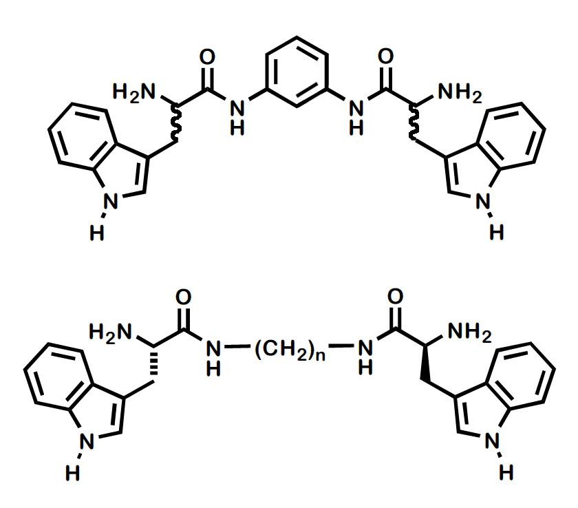 Two families of <italic>bis</italic>(tryptophan)s. Top structure: <italic>ortho-</italic>, <italic>meta</italic>- and <italic>para</italic>-isomers and both <sc>d</sc>- and <sc>l</sc>-tryptophan stereochemistry. Bottom structure: <italic>n</italic> = 3, 4, 6, or 12.