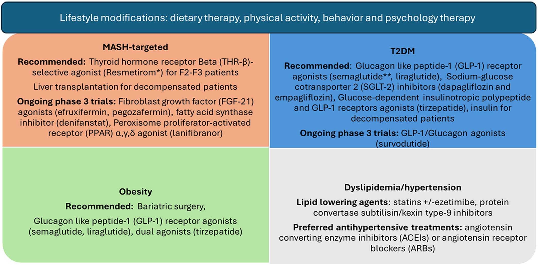 Summary of recommended and future treatments for metabolic-associated MAFLD and preferred treatment options for comorbidities.