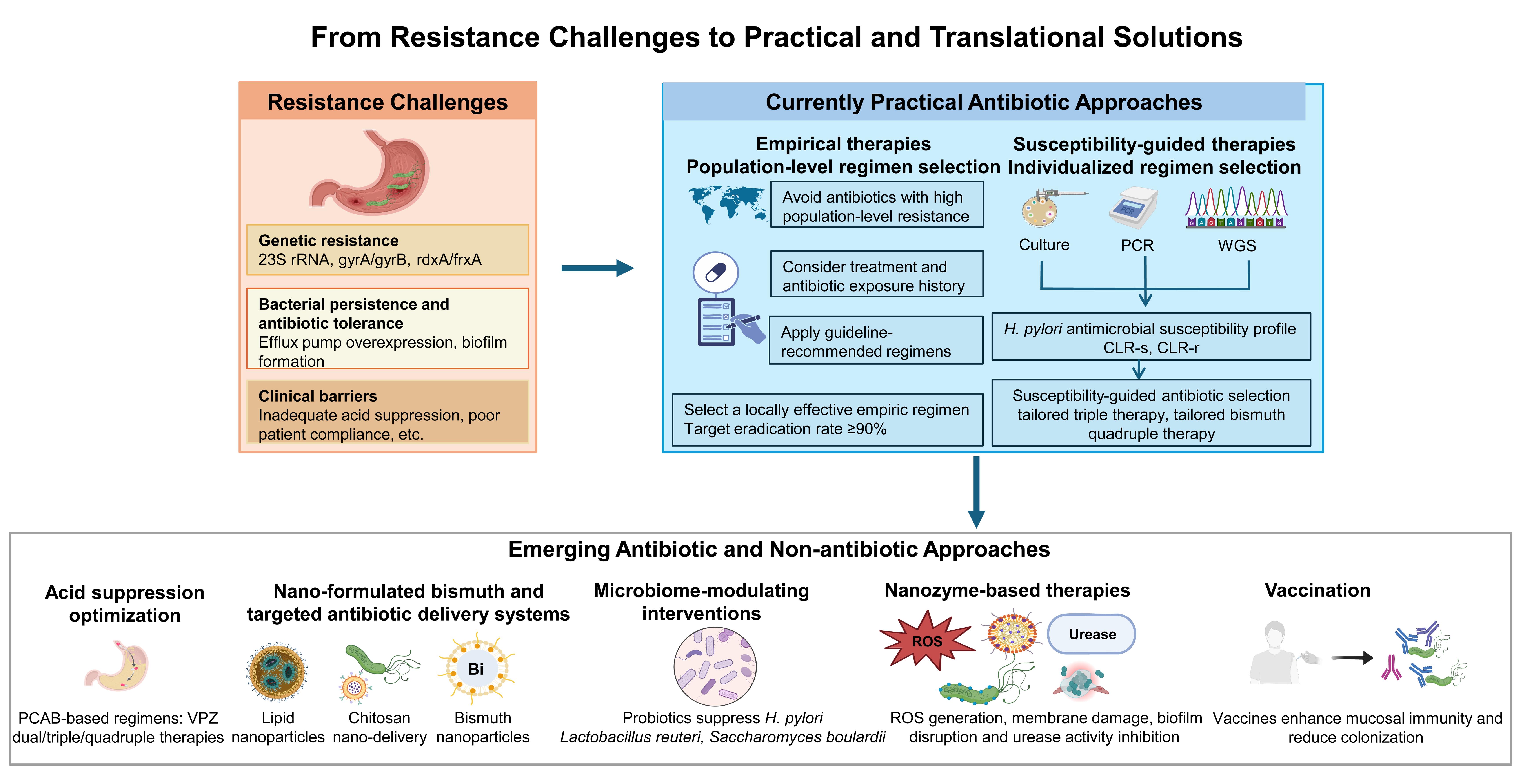 A translational gastroenterology perspective on antibiotic and non-antibiotic approaches in minimizing the impact of antibiotic resistance in <italic>Helicobacter pylori</italic> on clinical efficacy of eradication therapy: from resistance challenges to practical and translational solutions. 
