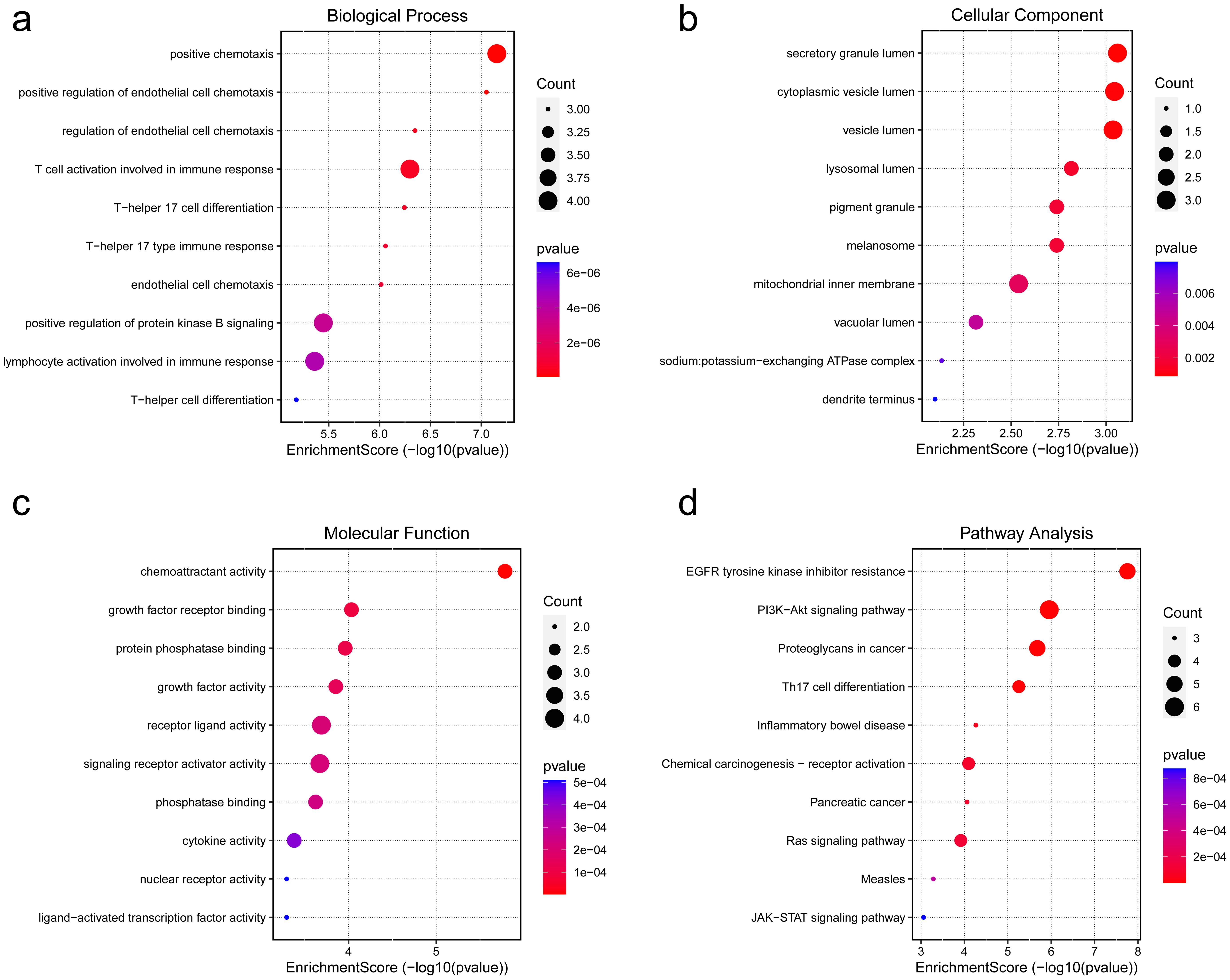 (a) Bubble diagram of GO-BP enrichment analysis; (b) Bubble diagram of GO-CC enrichment-analysis bubble map; (c) Bubble diagram of GO-MF enrichment analysis; (d) Bubble map of the top ten channels with KEGG enrichment fraction.