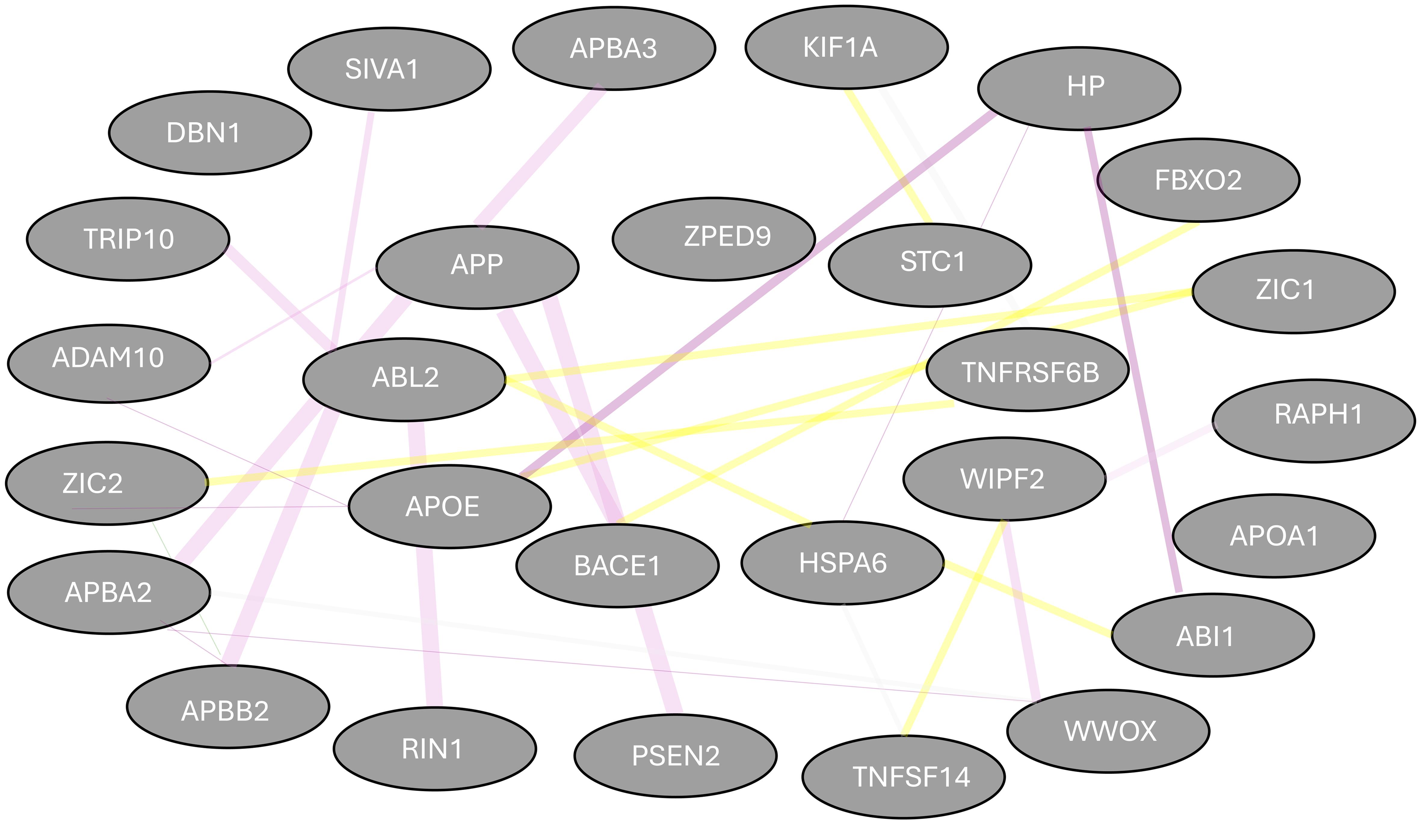 GeneMANIA analysis shows the physical involvement of ABL2 and HSPA6 proteins, which are further connected to APOE and APOA1, responsible for amyloid-beta (Aβ) aggregation and deposition.