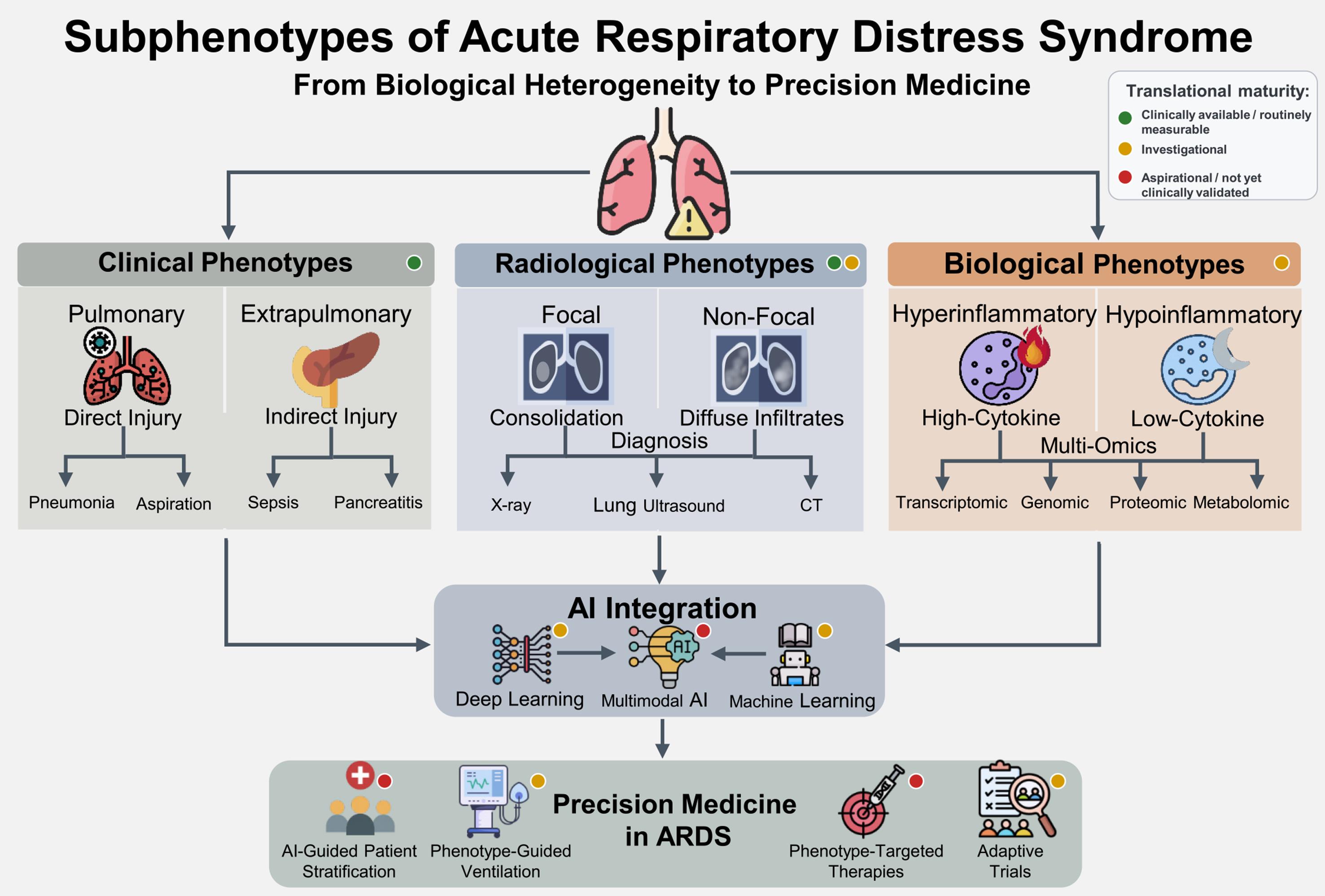 Conceptual framework linking ARDS subphenotyping to precision medicine.
