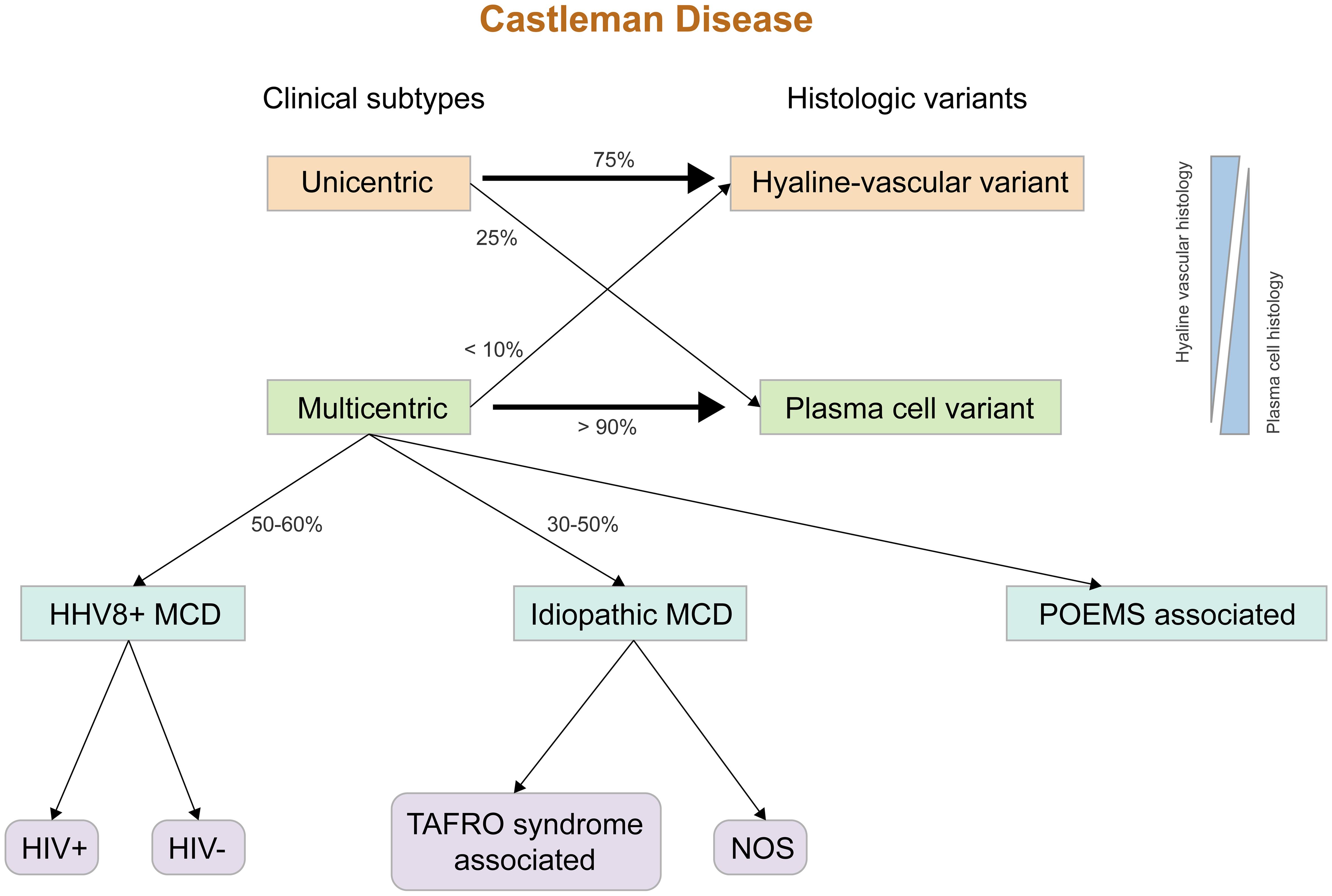 Overview of CD clinical subtypes and pathological variants.