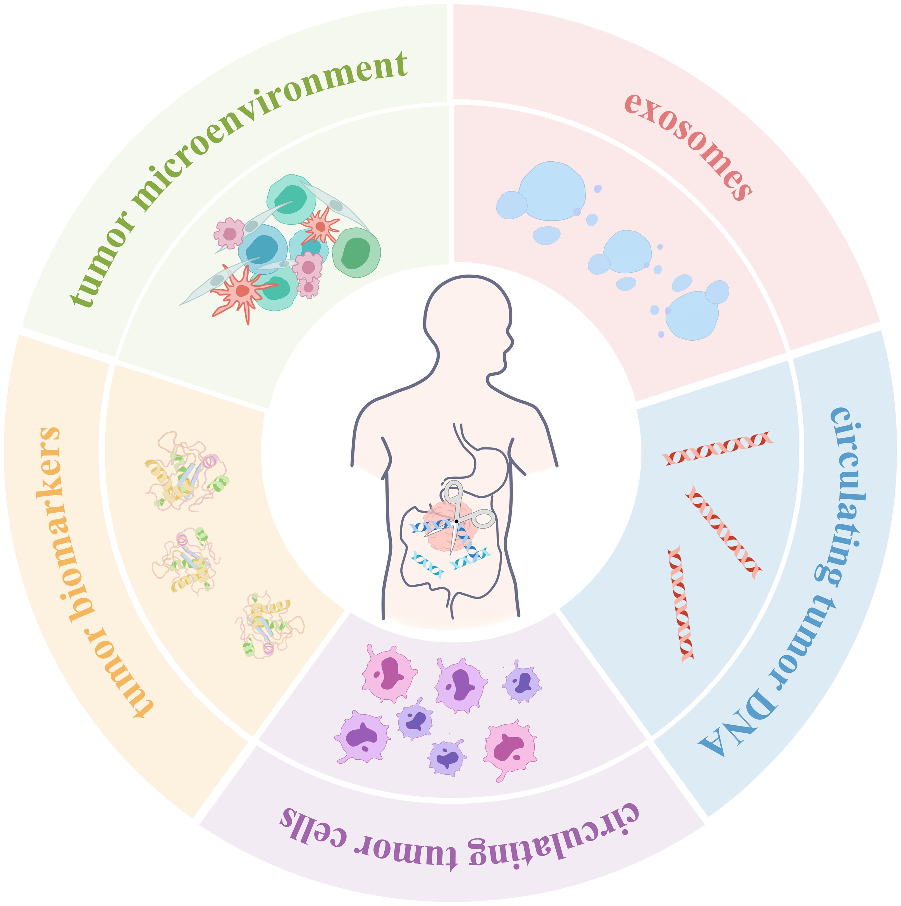 Applications of gene editing technique in tumor diagnosis.