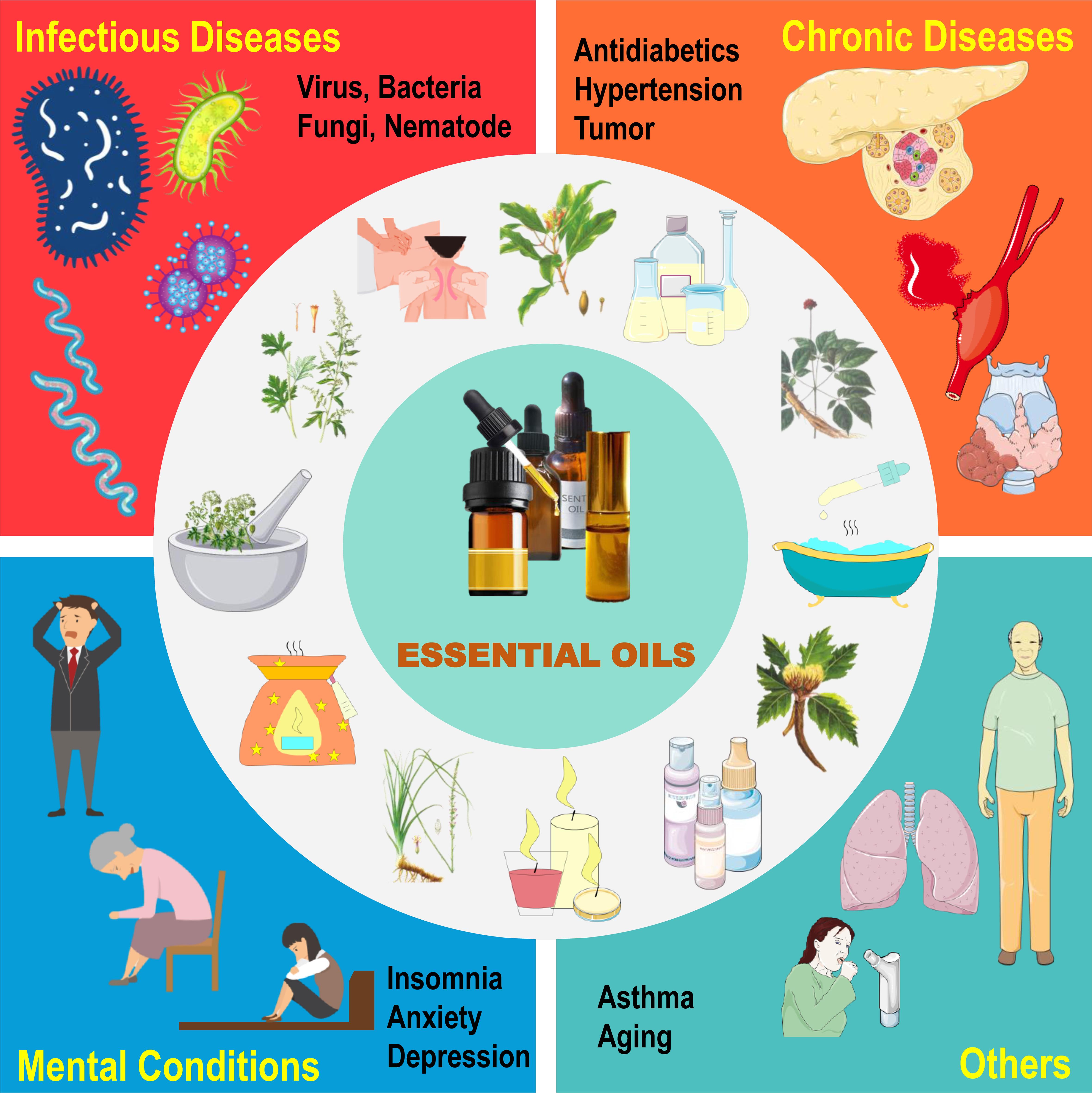 Schematic illustration of the applications of essential oils in human diseases.